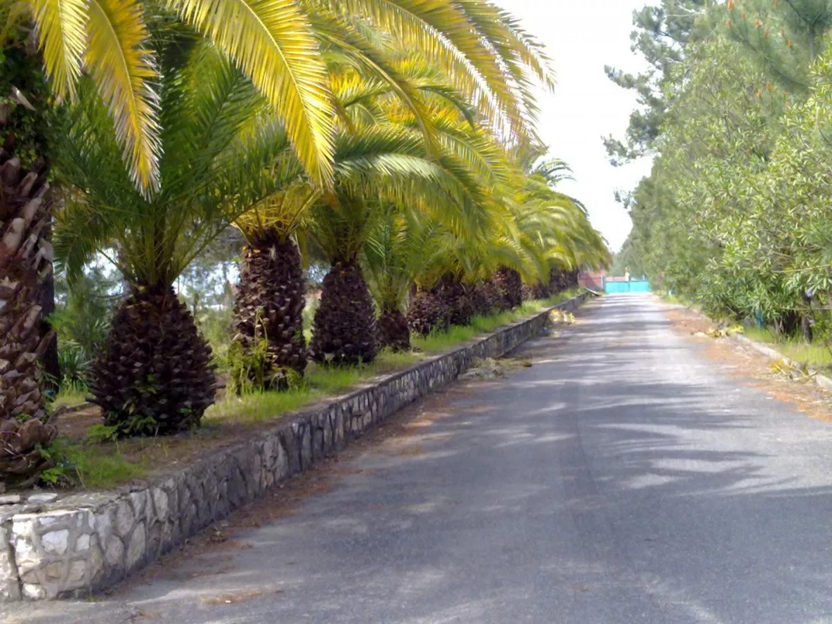 Дом отдыха "Кудры"