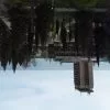 Позитивный и Комфортный отдых в Гагре в 100м. от моря.