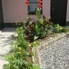 Гостиница Барбарис