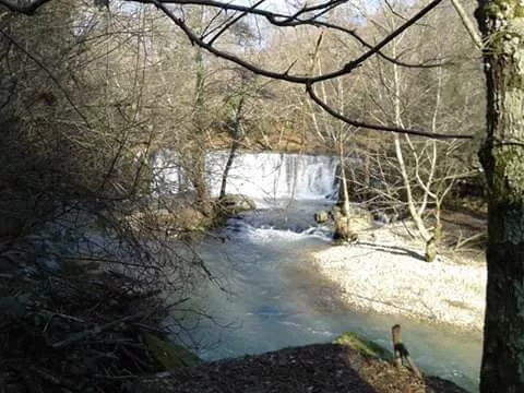 Отдых и лечение в Абхазии село Приморское